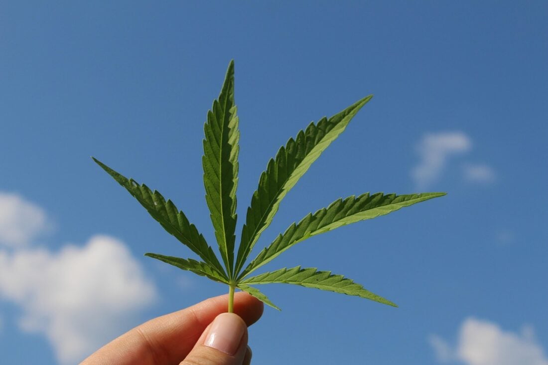 Access to medical cannabis in the United Kingdom has changed dramatically in recent years. What was once a complex and often misunderstood process is now becoming simpler and more transparent for patients seeking alternative treatments for chronic conditions. Releaf is one of the organisations helping to shape this transformation, offering expert guidance, safe access, and a more personalised approach to patient care.
