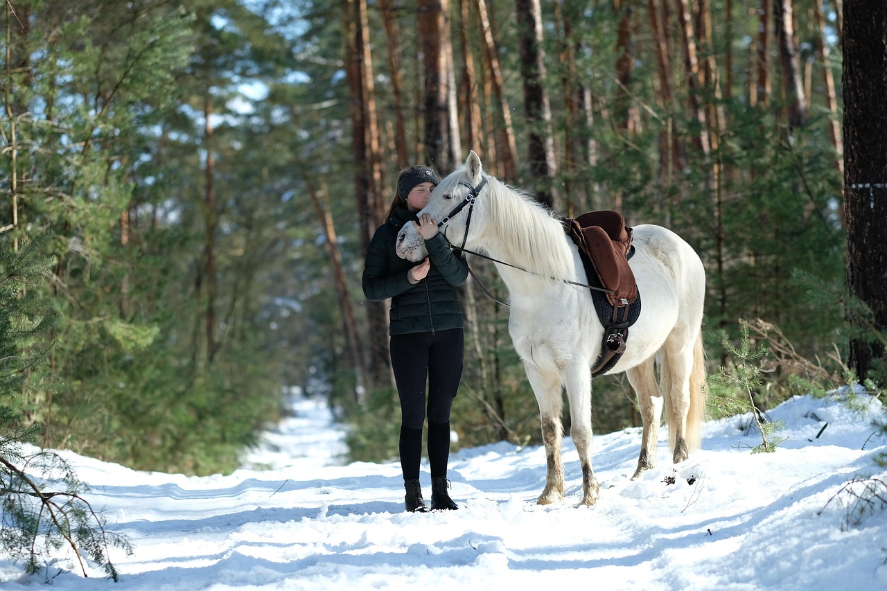 As the weather shifts and the days grow shorter, riders know that the right gear can make all the difference between a crisp autumn ride and a soggy, uncomfortable one. GS Equestrian has become a trusted destination for equestrian enthusiasts who want practical performance, style and value in one place. Their seasonal edit brings together everything needed to keep both horse and rider warm, dry and ready for the season ahead.