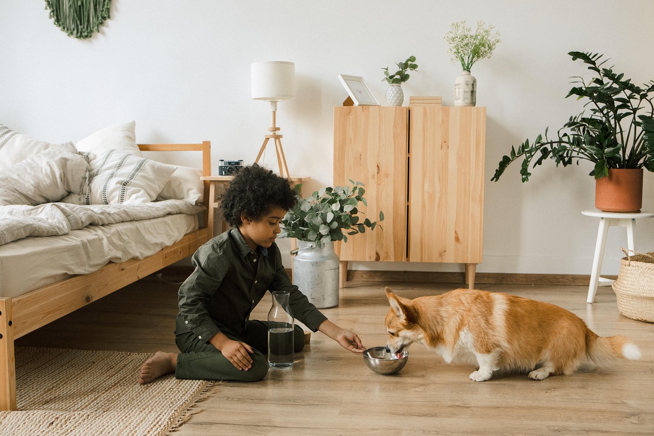 Feeding a dog well is about more than filling a bowl. For many owners, it is about providing food that supports health, energy, and longevity in the most natural way possible. Mersey Raw has carved out a strong reputation in the raw feeding community by focusing on quality ingredients, transparent sourcing, and straightforward value. The brand combines practical feeding solutions with variety and flexibility, making raw nutrition accessible for both experienced owners and those just starting out.